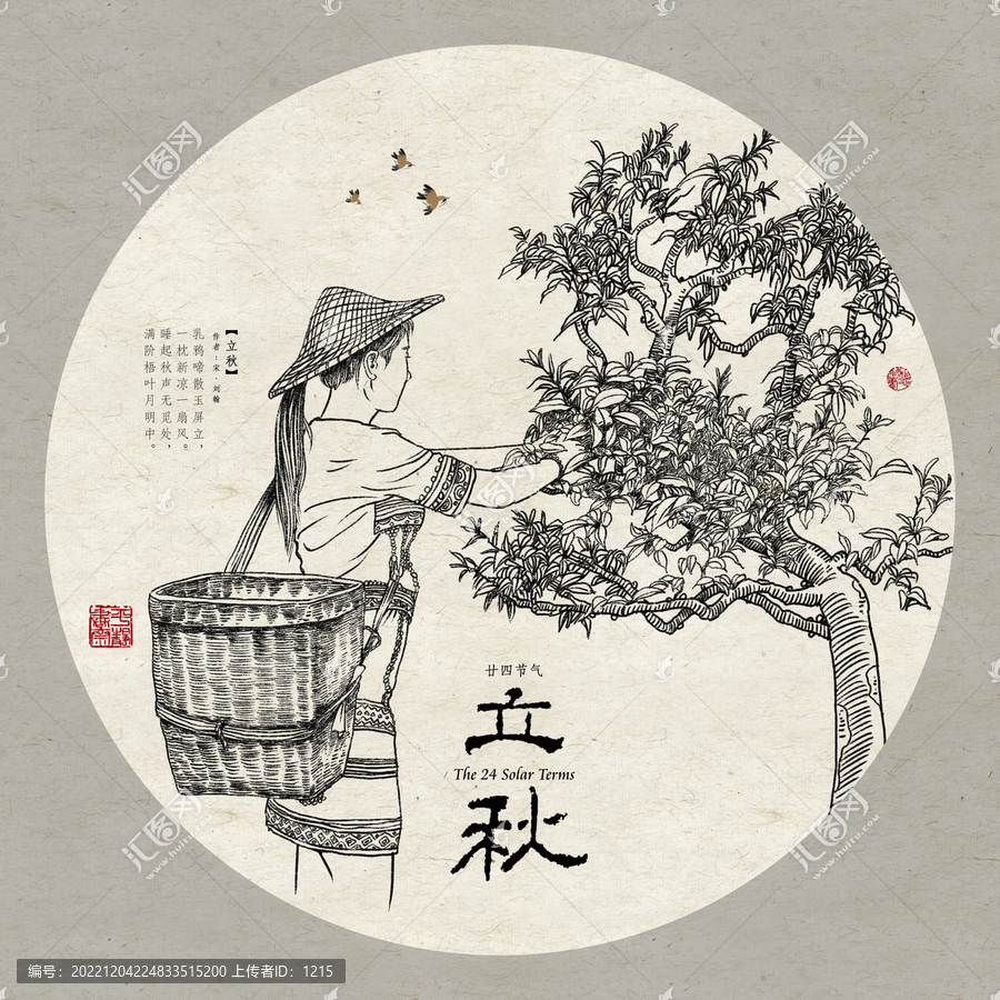 24節(jié)氣茶立秋
