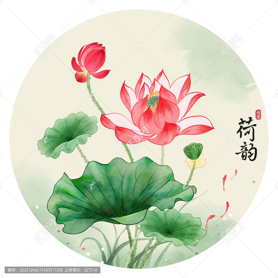 荷花