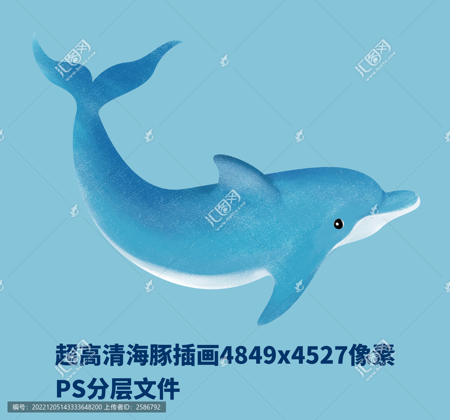 海豚插畫