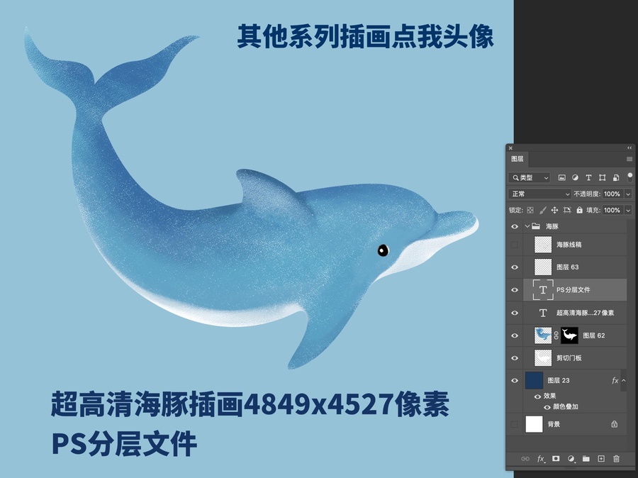 海豚插畫