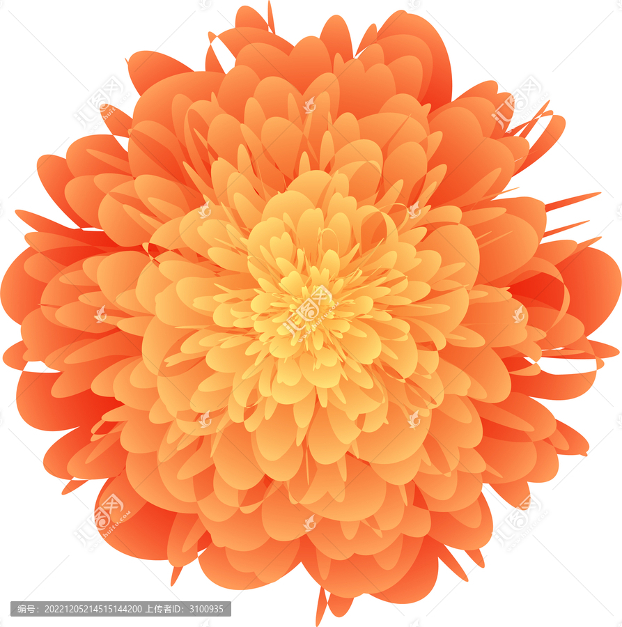 盛開(kāi)的花