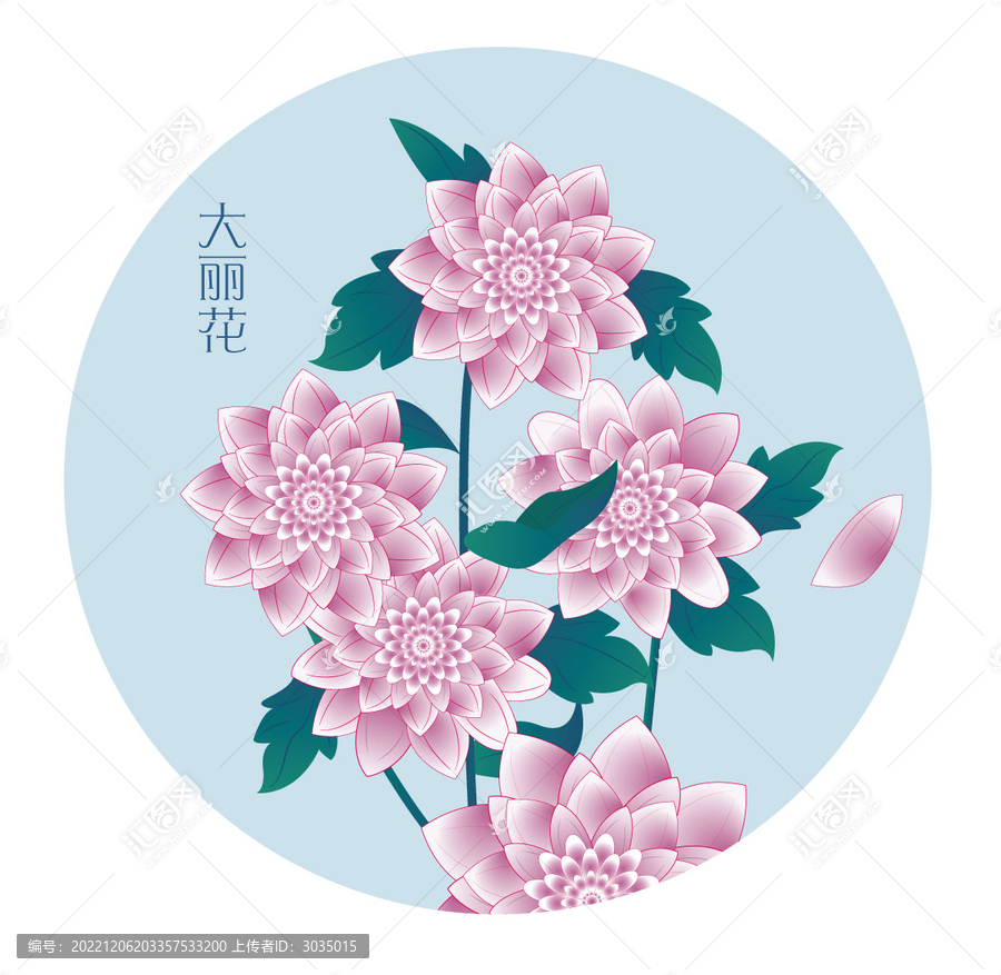 大麗花矢量
