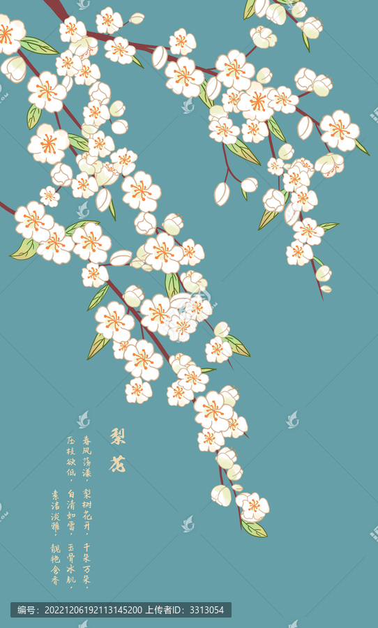 梨花圖