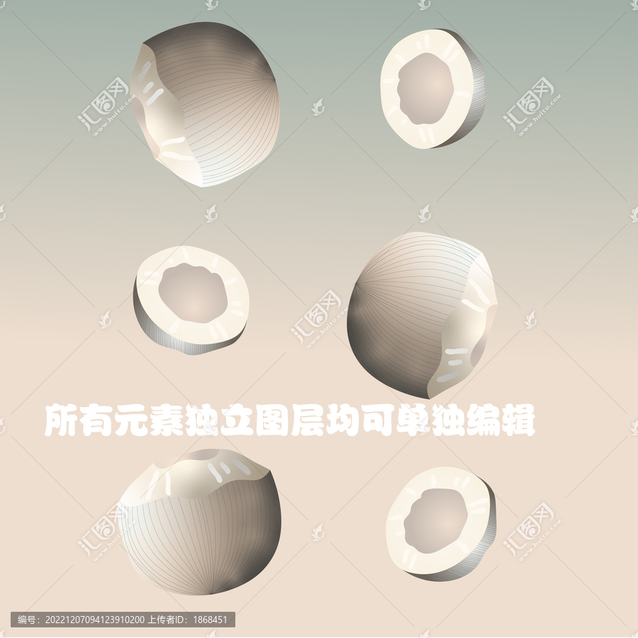 卡通矢量椰子