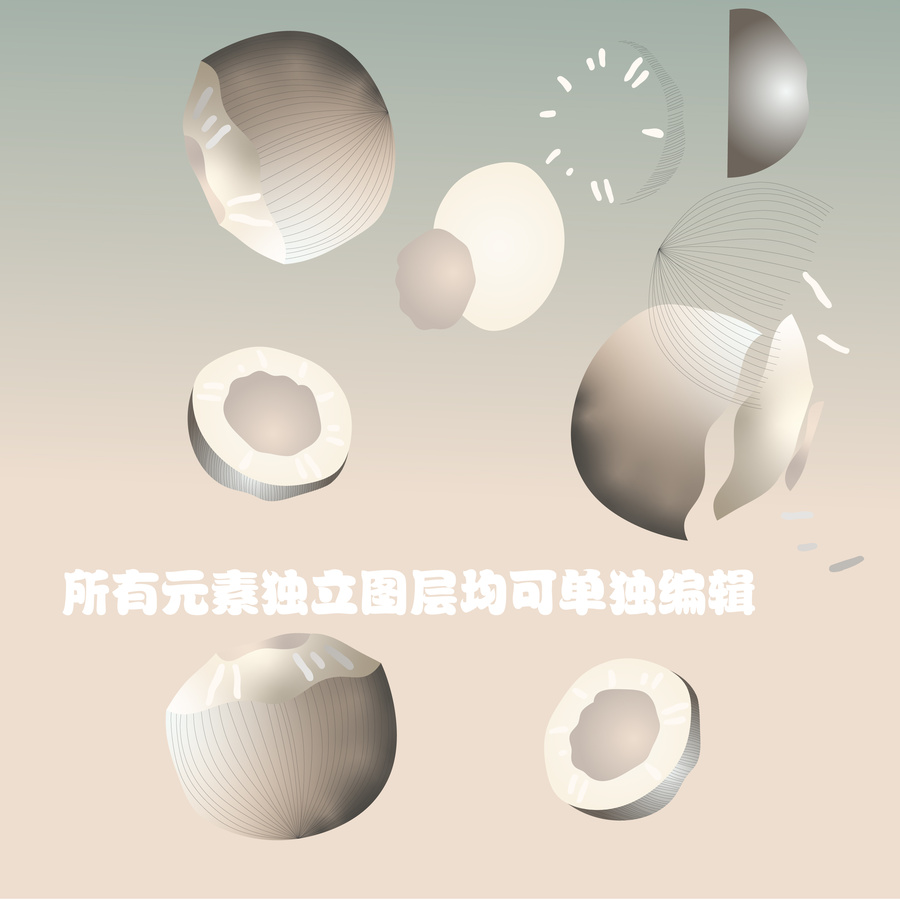 卡通矢量椰子