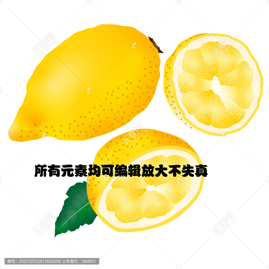 手绘矢量柠檬