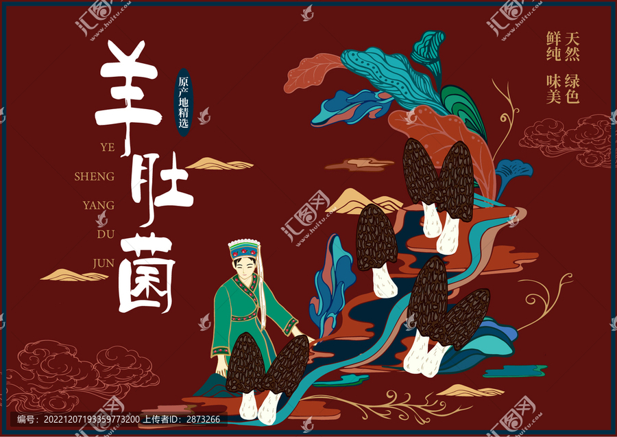 羊肚菌禮盒插畫