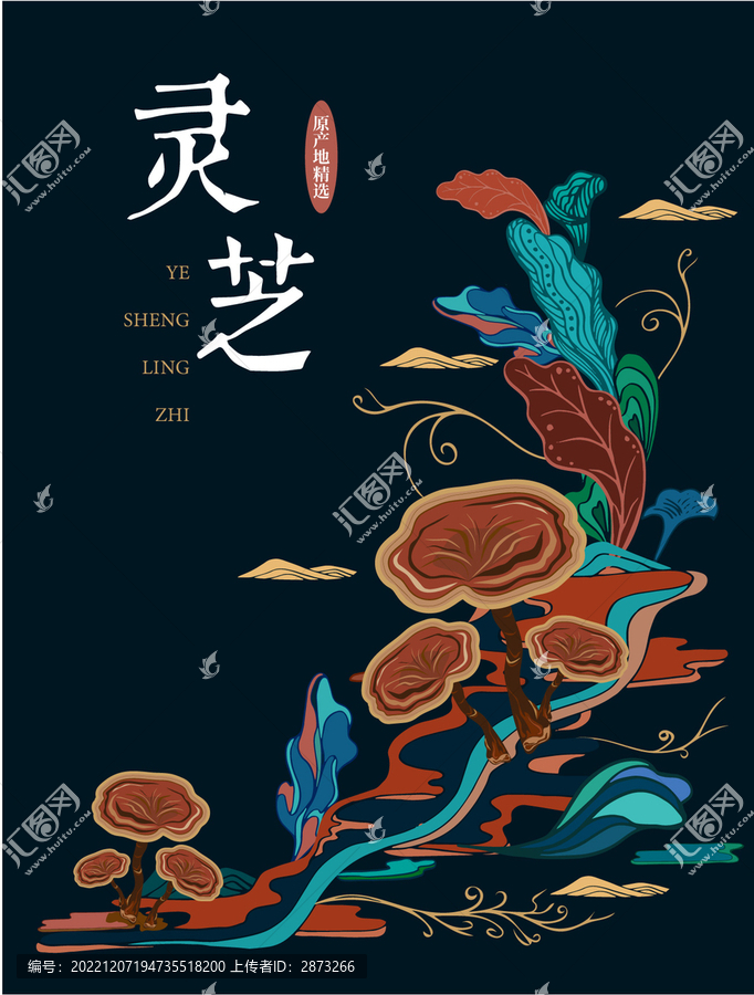 靈芝包裝插畫