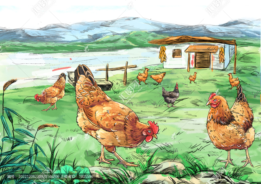 農家散養(yǎng)山雞蛋插畫分層