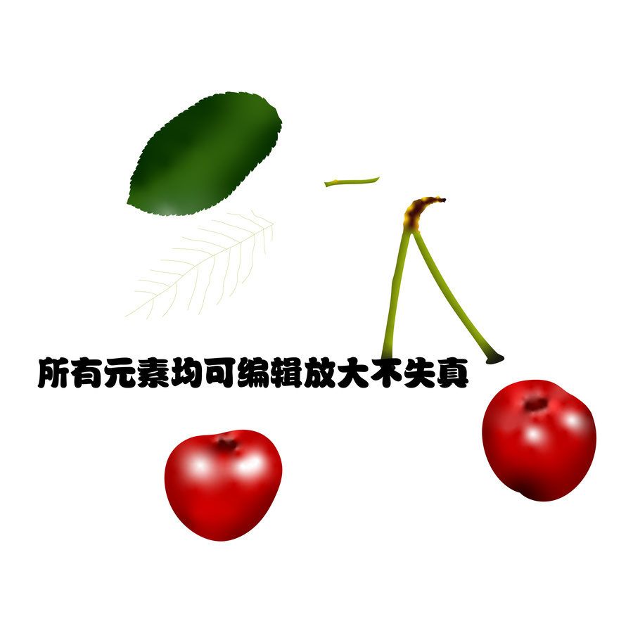 手繪矢量櫻桃