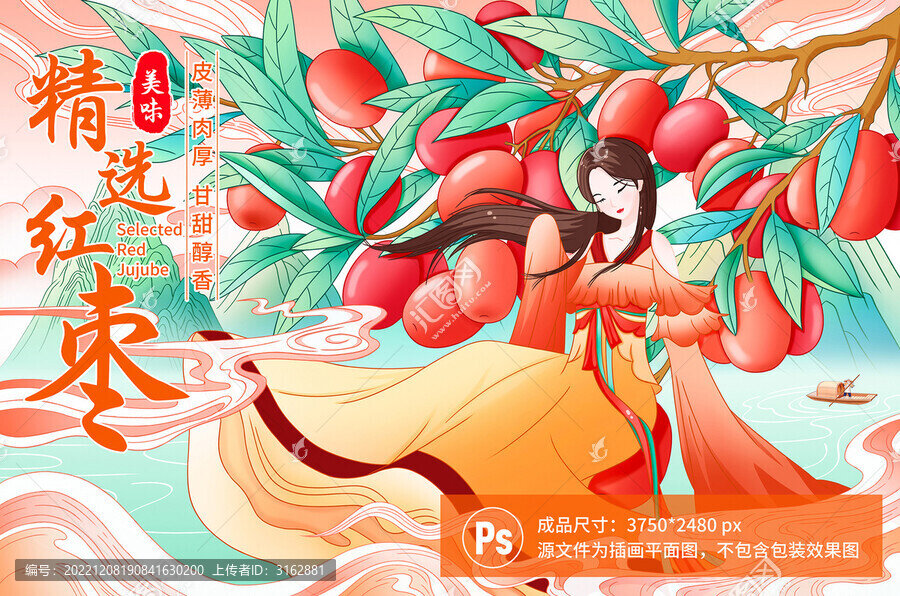 紅棗包裝插畫(huà)
