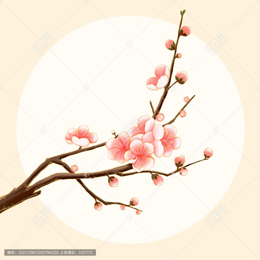 國潮勾線臘梅梅花冬季花卉插畫