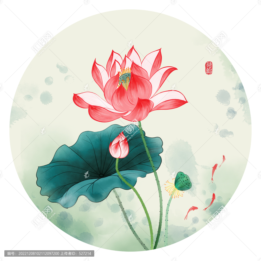 荷花