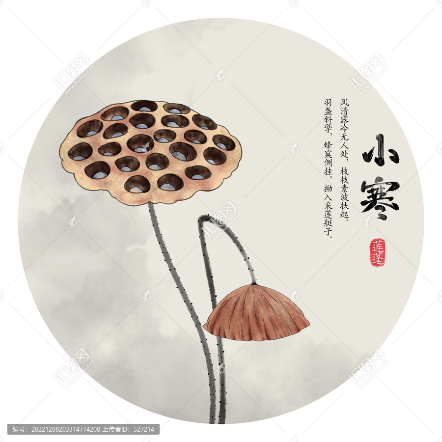 蓮蓬