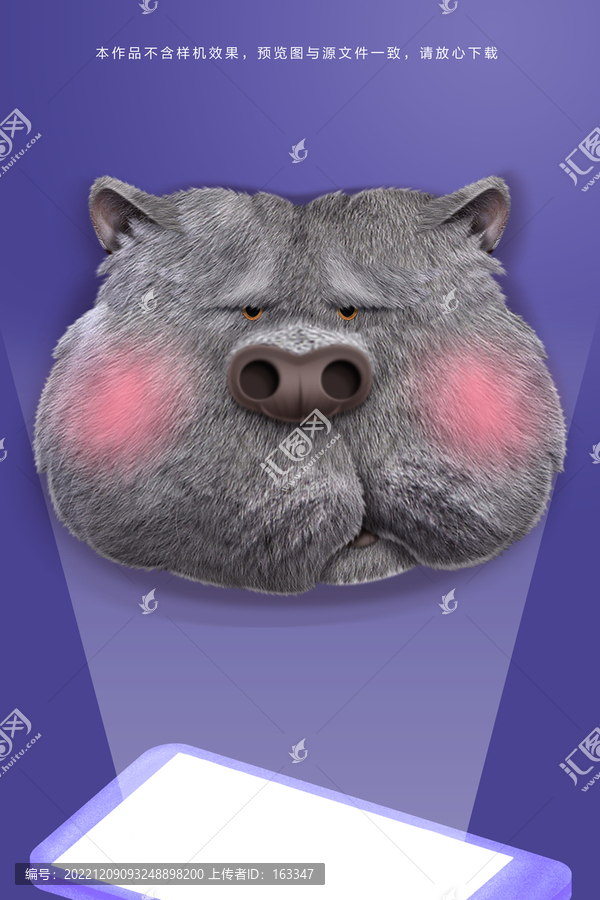 臭貓表情