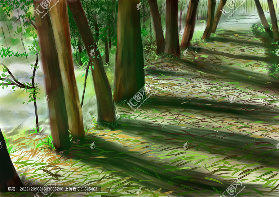林間小路手繪插圖