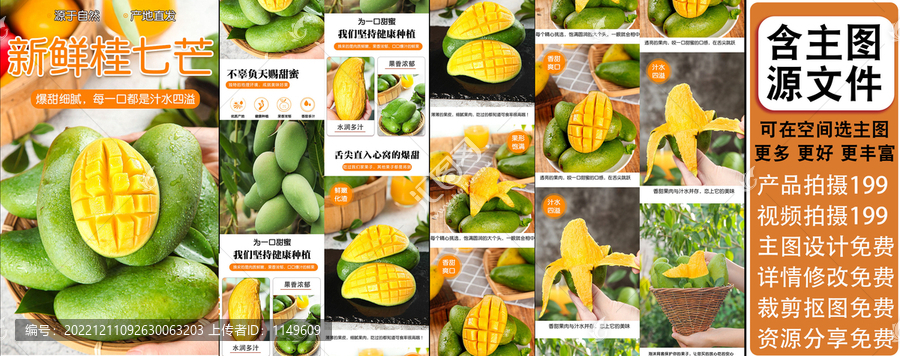 新鮮桂七芒詳情