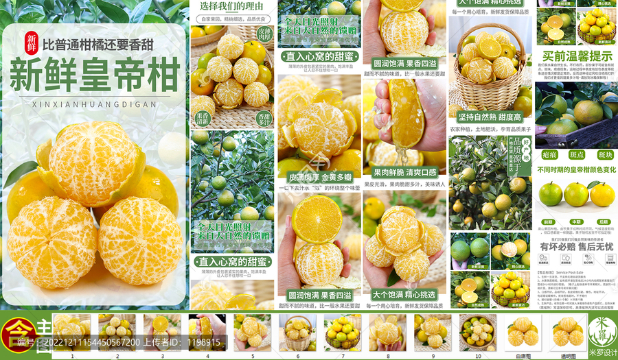 皇帝柑詳情頁