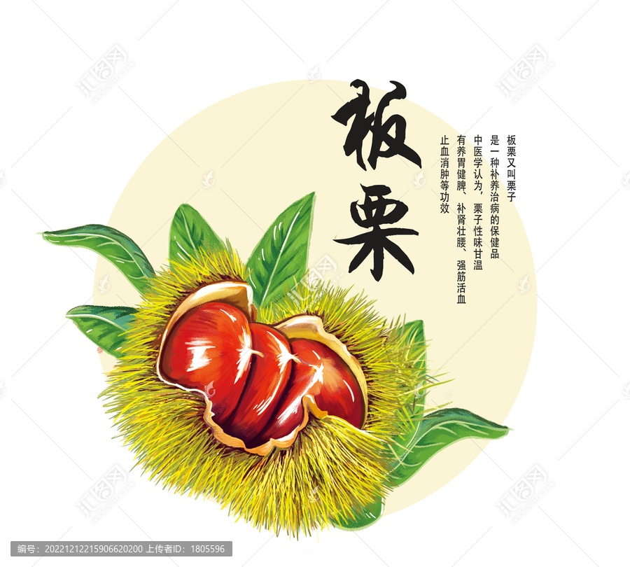 板栗插畫