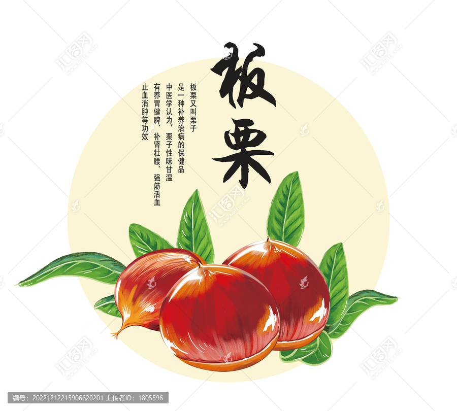板栗插畫