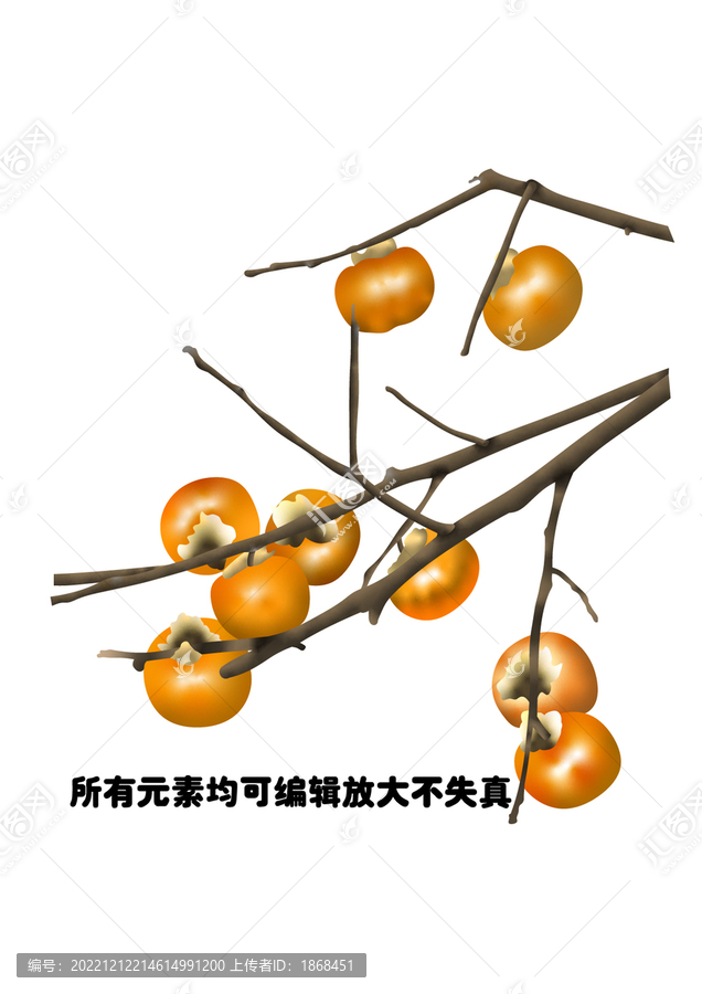 柿子樹