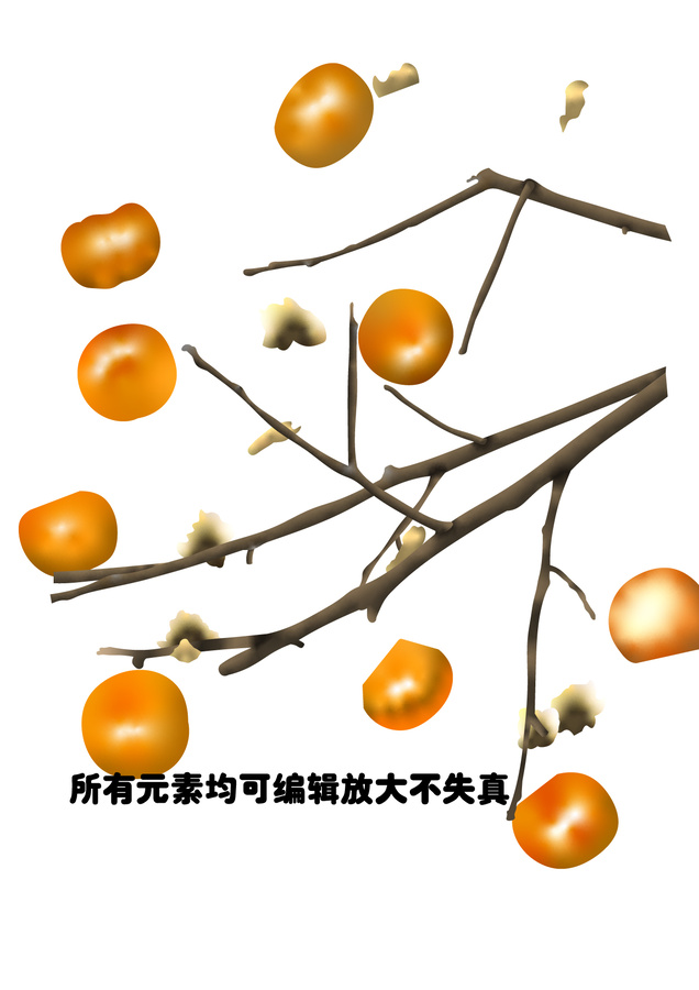 柿子樹