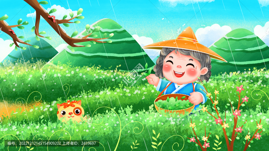 春天谷雨采茶的老奶奶插畫(huà)