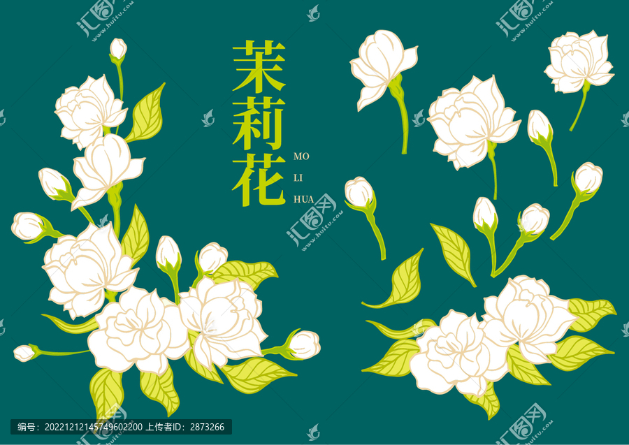 茉莉花插畫