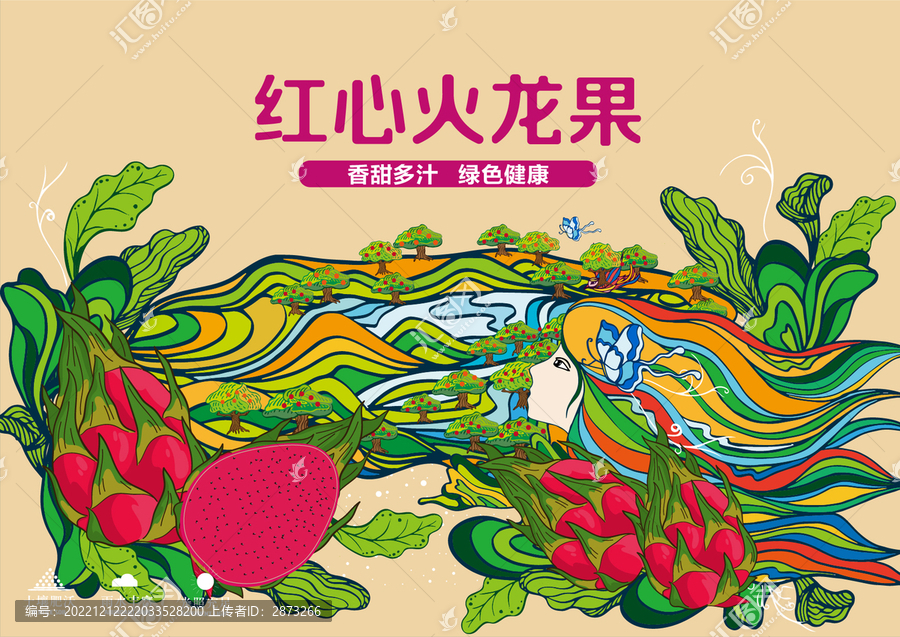 火龍果禮盒包裝