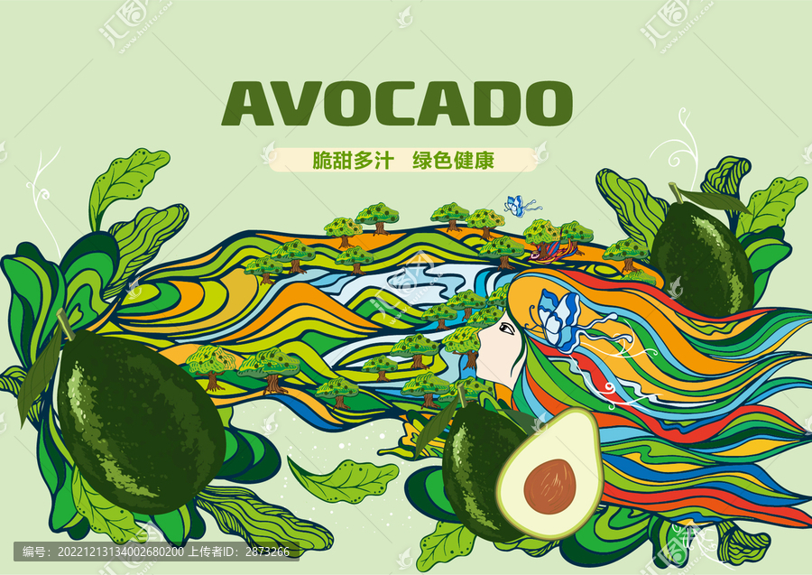 牛油果插畫