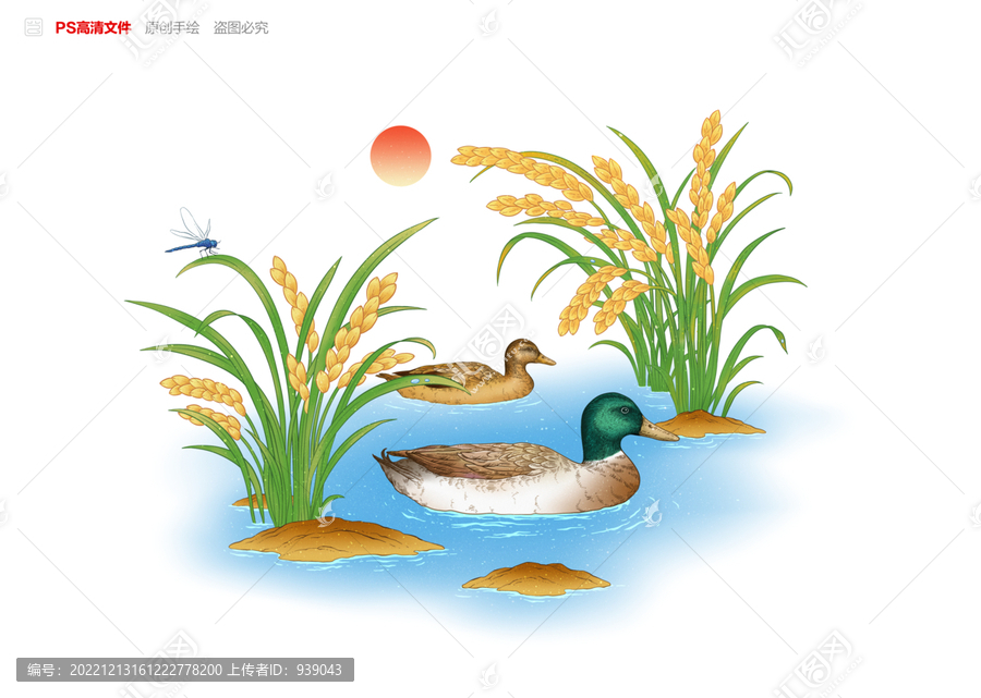鴨子稻田