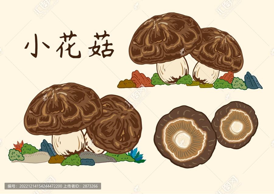 花菇插畫香菇