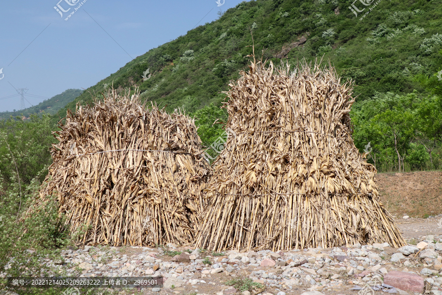 山村秸秆堆