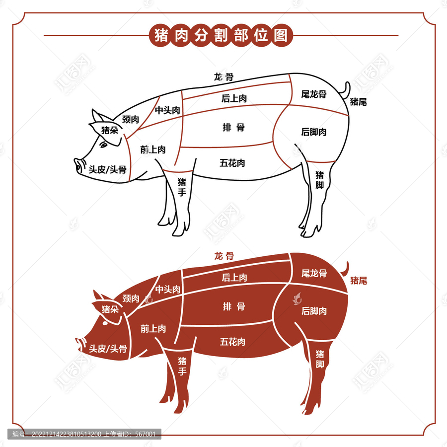 豬肉分割圖