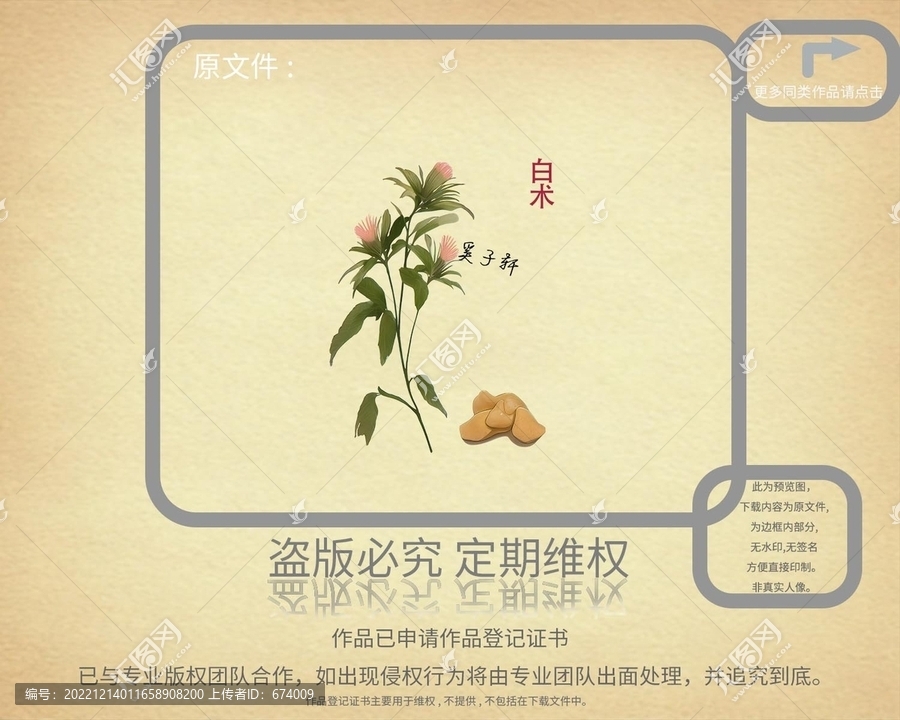 白術(shù)