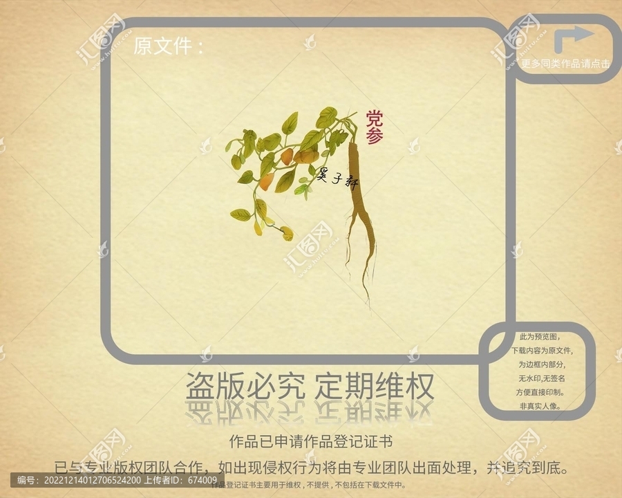 黨參