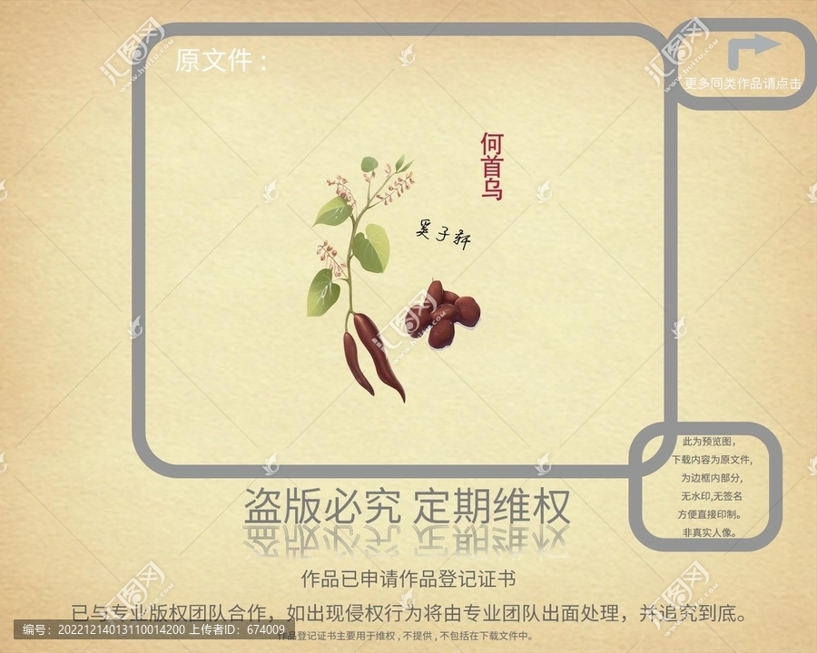 何首烏