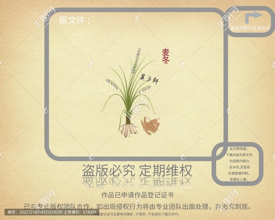 麥冬