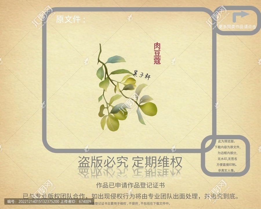 肉豆蔻