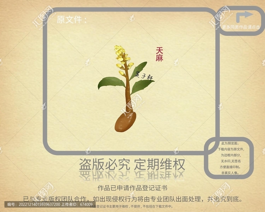 天麻