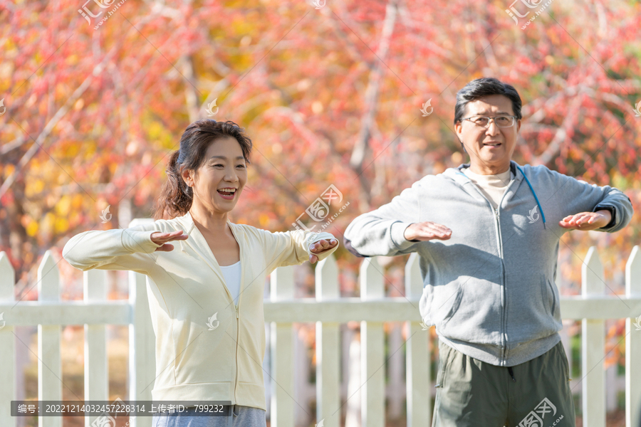老年夫妇在公园里运动健身