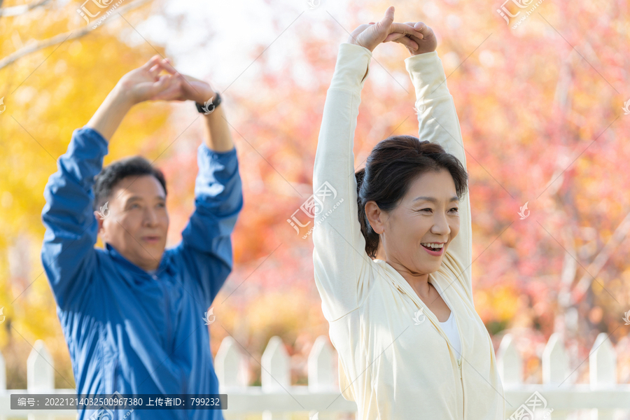 老年夫妇在公园里运动健身