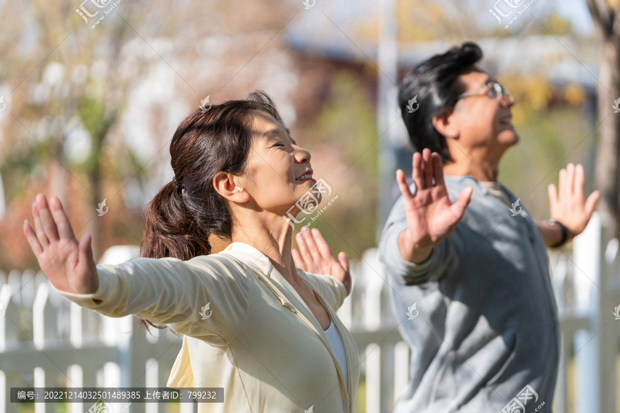 老年夫妇在公园里运动健身