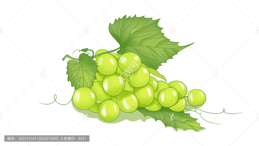 葡萄插畫