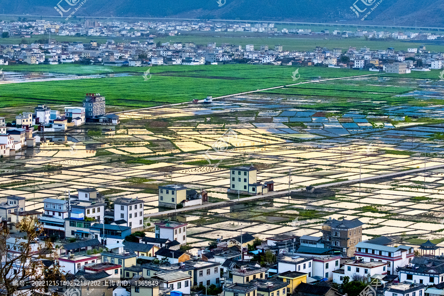 三川田园