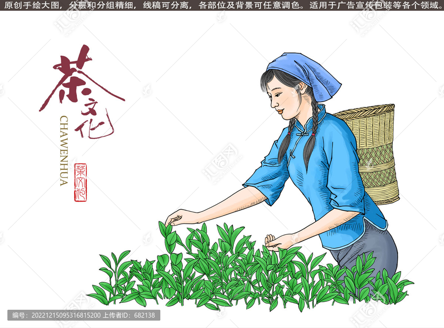采茶女插畫