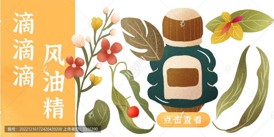 薄荷樟腦丁香桉樹葉草本中草藥