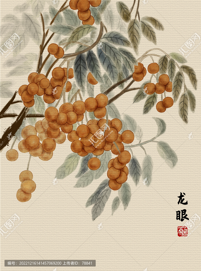 龍眼