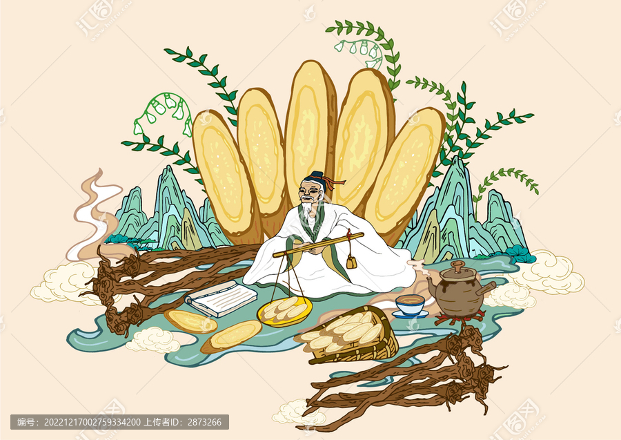 黃芪插畫