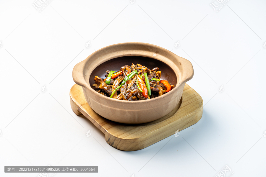 茶樹菇